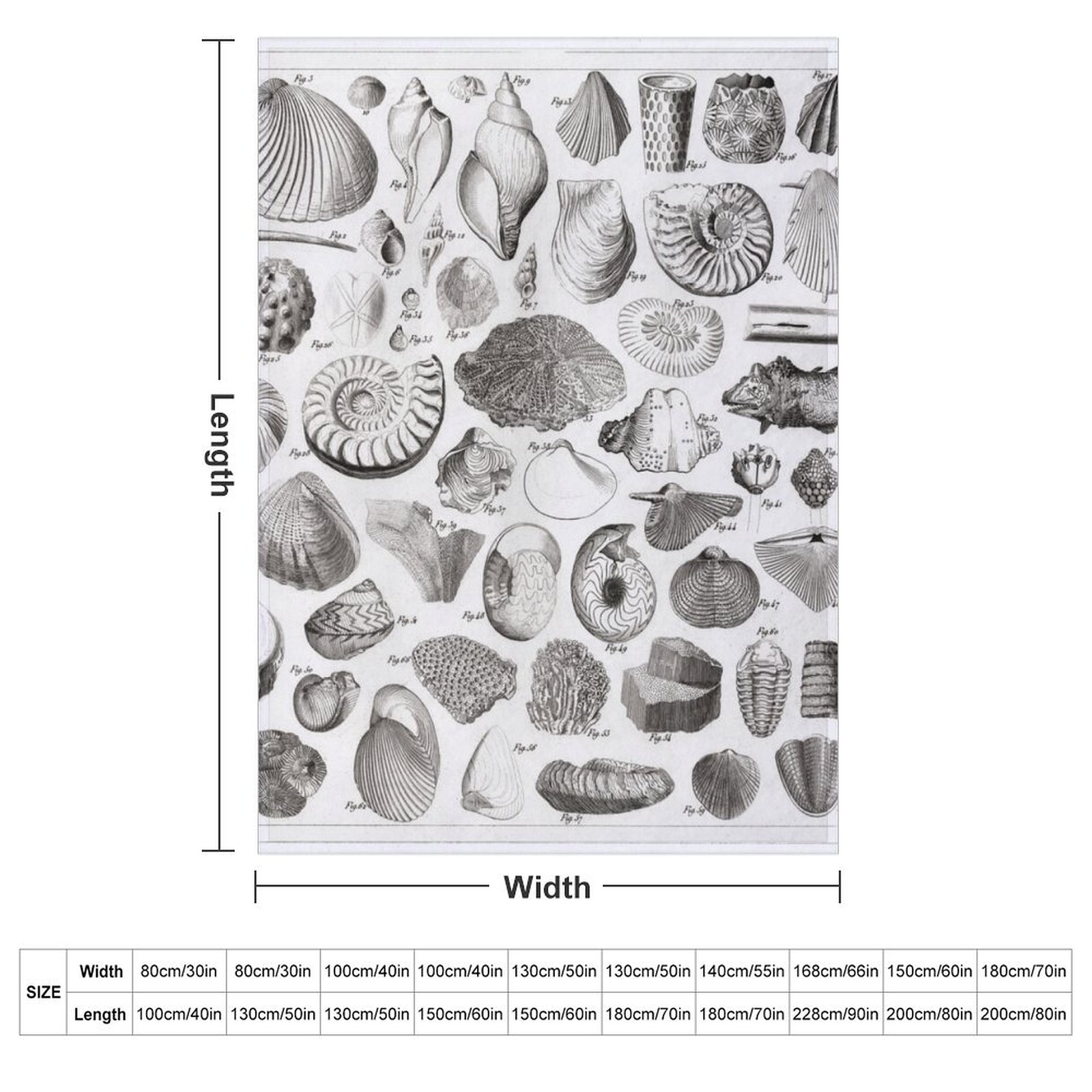 1857 Diagram Paleontology: Cob - 3D Printing Diagram avaliação e preço